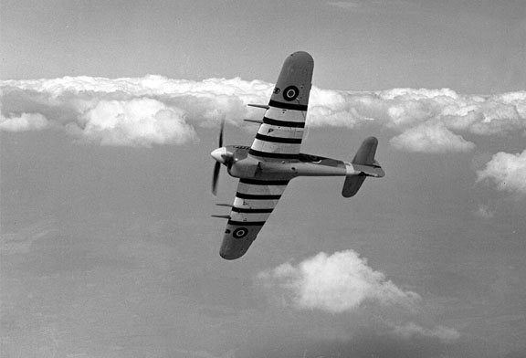 A 1943 photo of a Hawker Typhoon, sporting identification stripes due to similarities with the Fw 190.