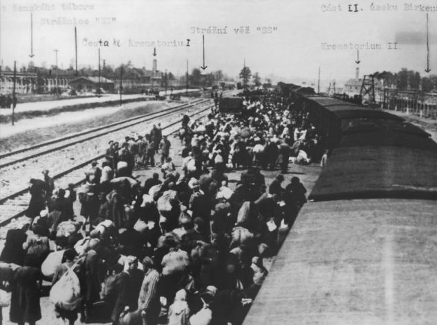 Arriving at Auschwitz.