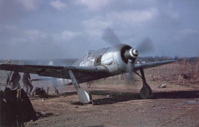 An Fw 190 A-8 R2 in American hands. “White 11” of 5 JG 4 was captured during Operation Bodenplatte after its engine had been damaged by American light flak.