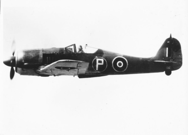 British Fw 190 in flight
