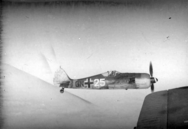 Focke-Wulf Fw 190 GN+25 in flight